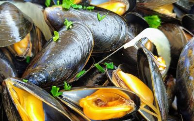 Op een terras ergens in Frankrijk in de zon